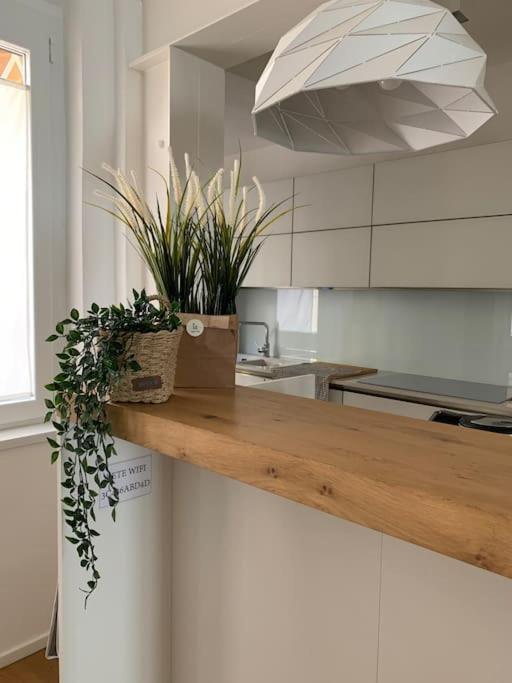 Interno4Home: In Centro Storico Con Posto Auto فيرّارا المظهر الخارجي الصورة