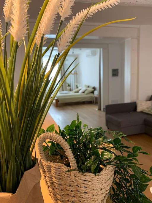 Interno4Home: In Centro Storico Con Posto Auto فيرّارا المظهر الخارجي الصورة